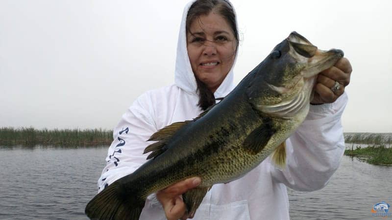 March Bass Fishing
