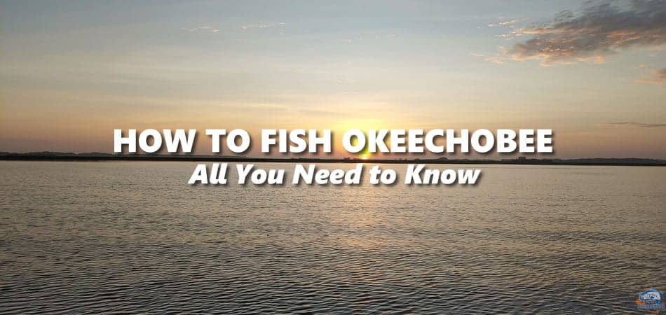 How to Fish Lake Okeechobee