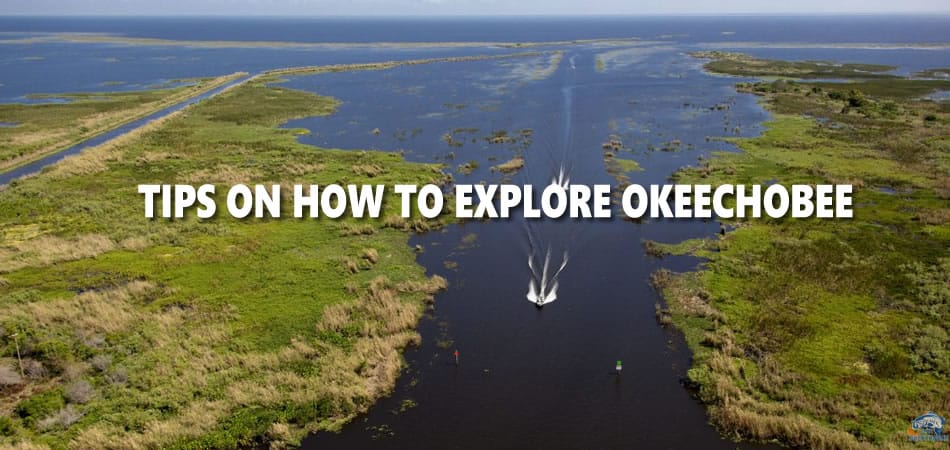 TIPS ON HOW TO EXPLORE OKEECHOBEE