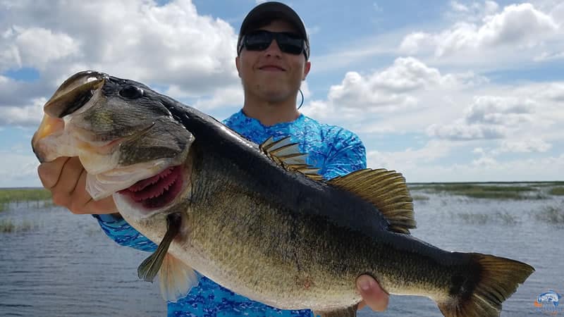 largemouth bass fishing